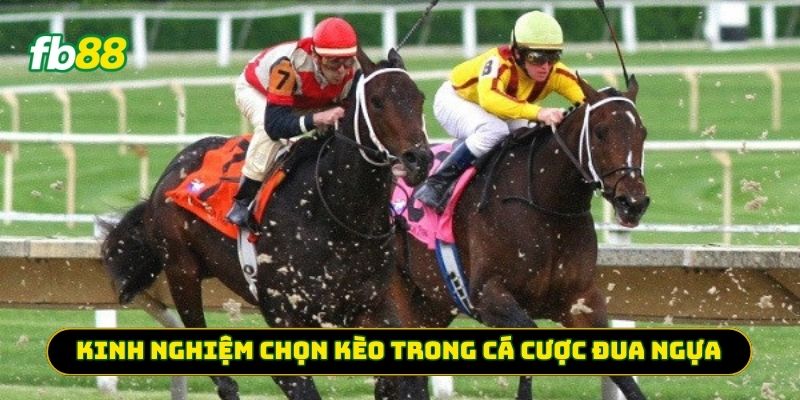 Kinh nghiệm chọn kèo trong Cá Cược Đua Ngựa
